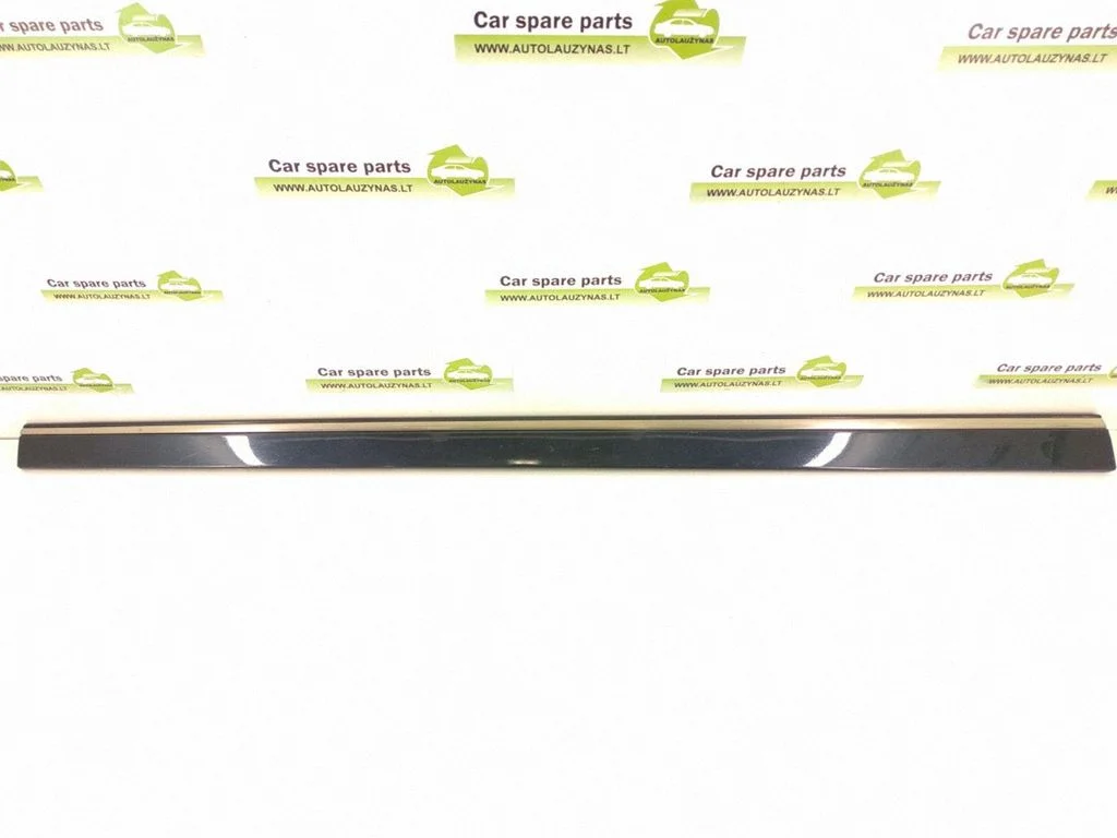 Front door trim (molding) – front left