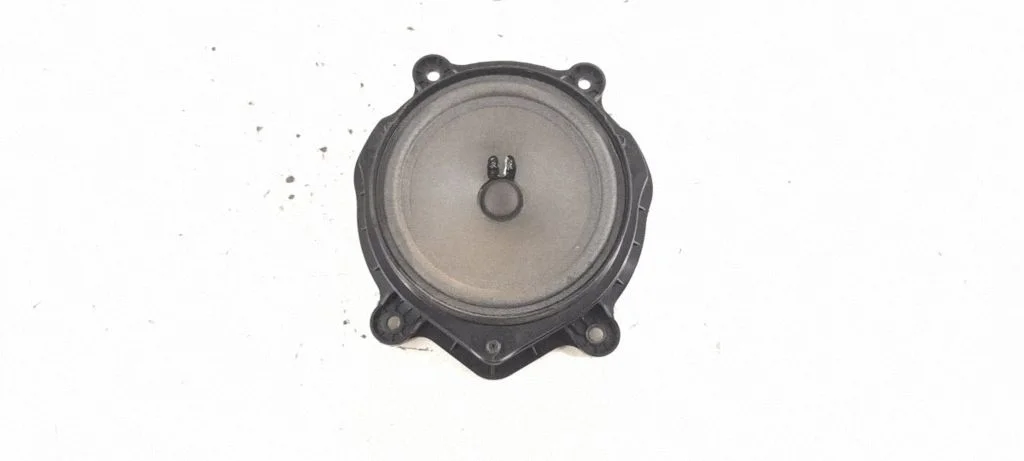 Front door speaker – front left