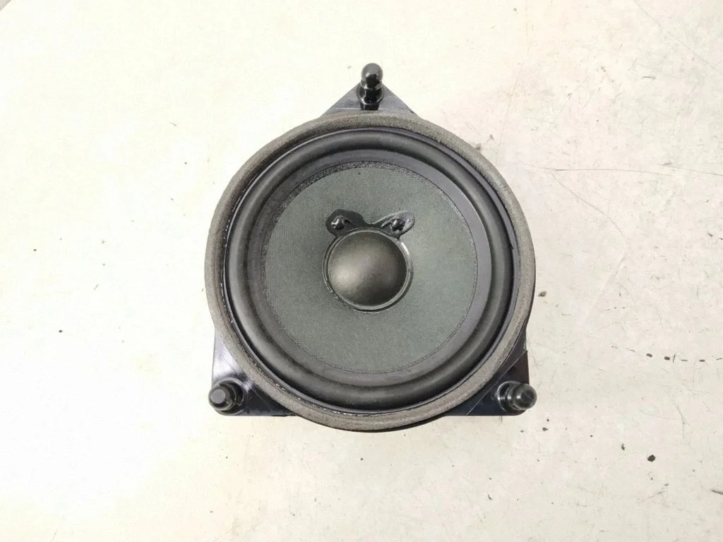 Front door speaker – front left