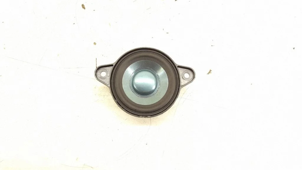 Front door speaker – front left