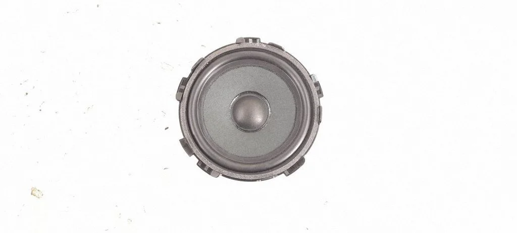 Panel speaker