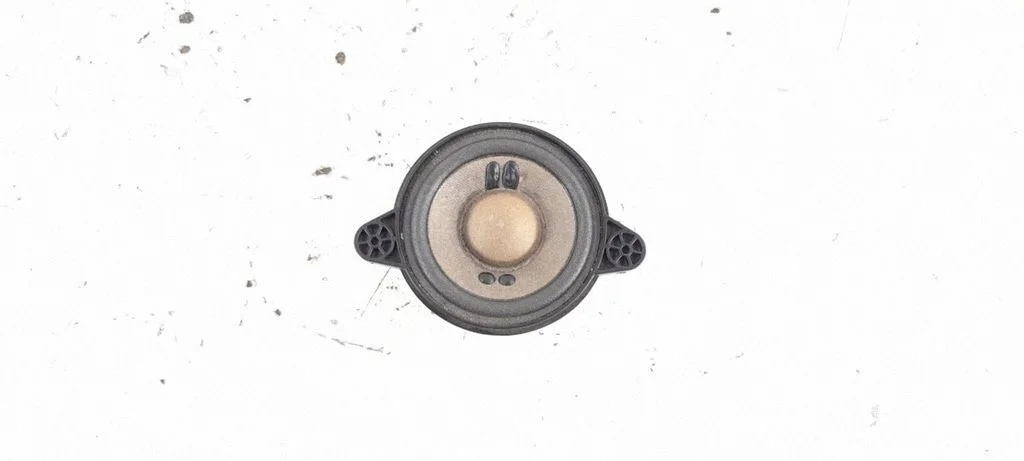 Panel speaker