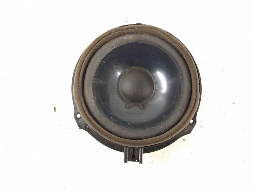 Rear door speaker – rear left