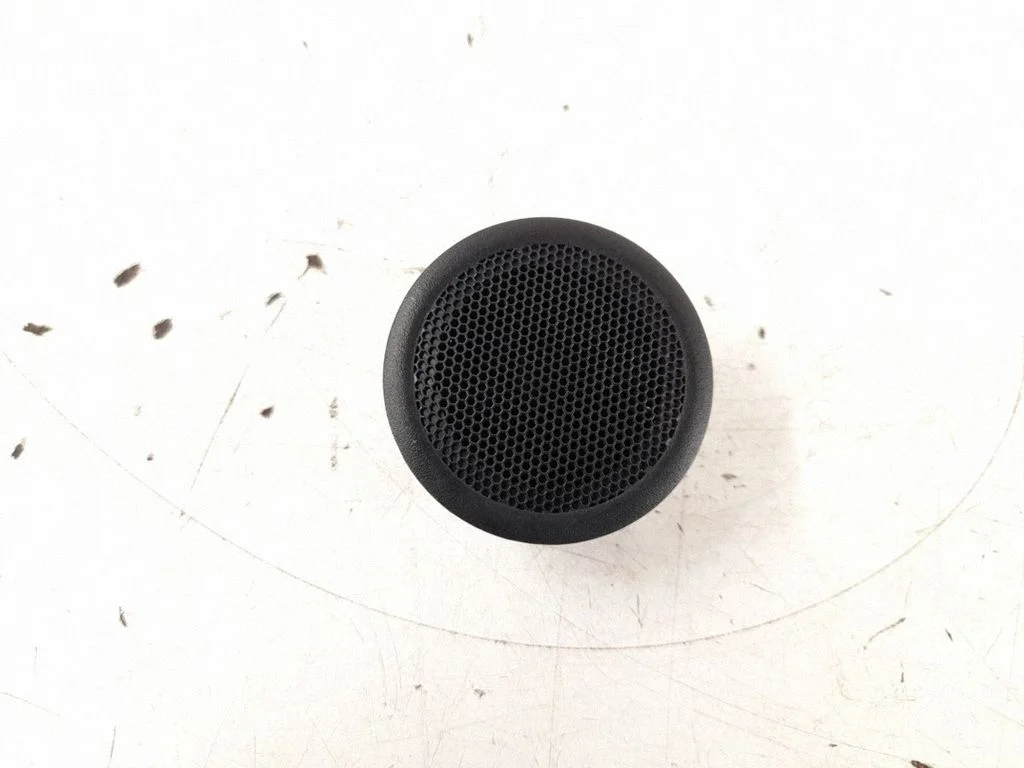 Rear door speaker – rear left