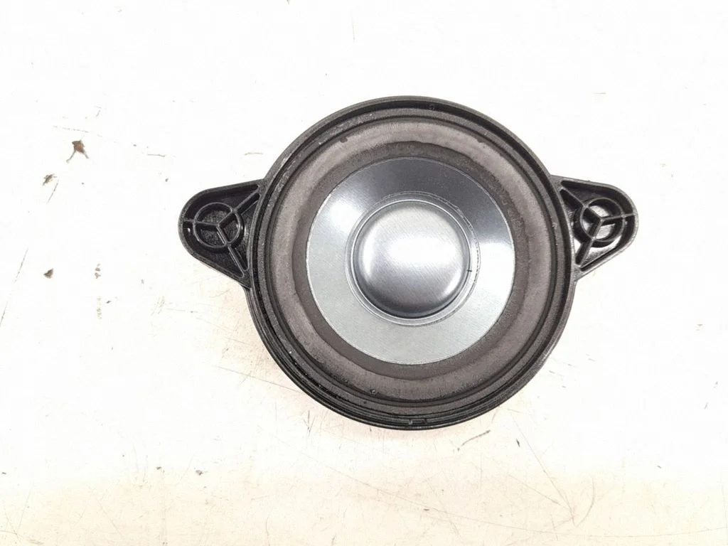Rear door speaker – rear right