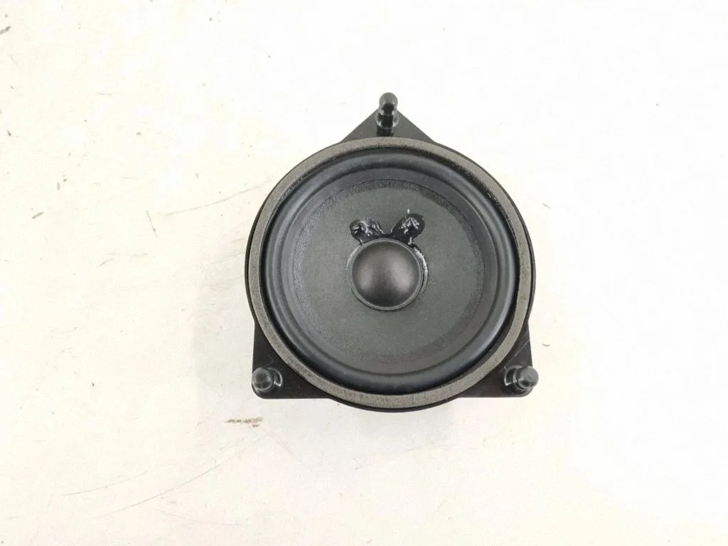 Rear door speaker – rear left