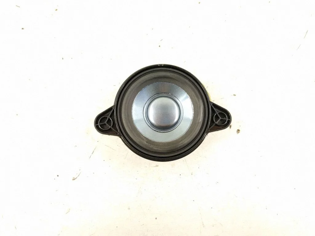 Rear door speaker – rear right