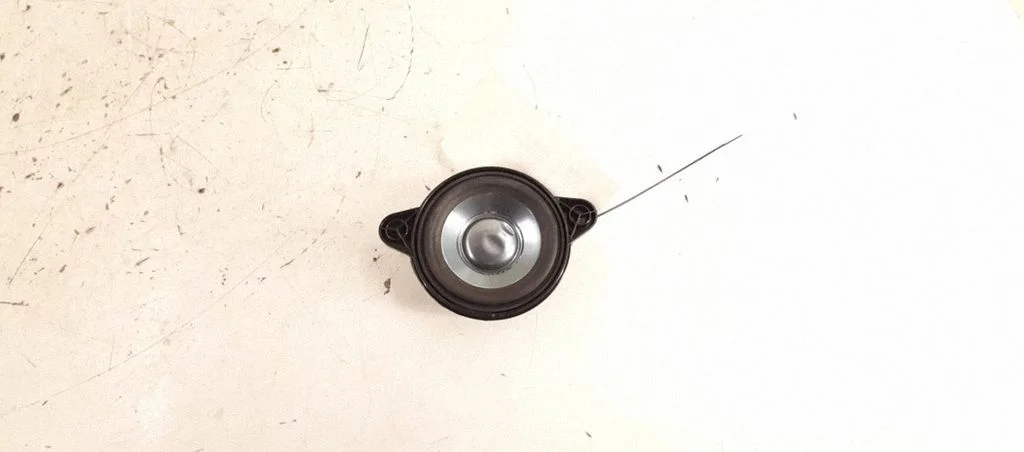 Rear door speaker – rear left