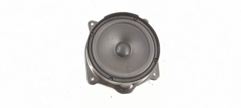 Rear door speaker – rear left