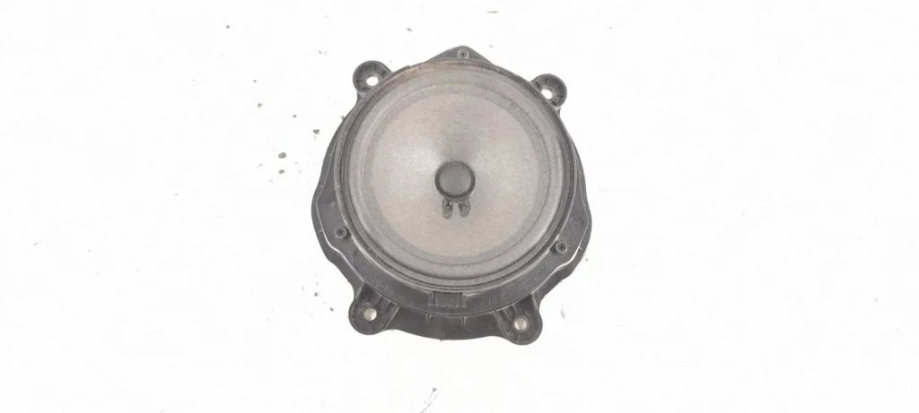 Rear door speaker – rear left