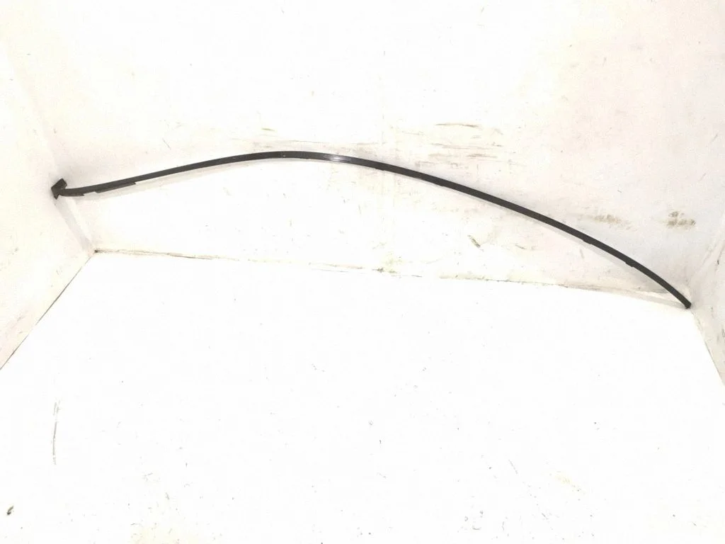 Katuse liist „molding" – Mercedes-Benz S-klass W221 (2005-2013)