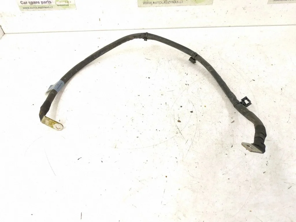 Other wiring loom