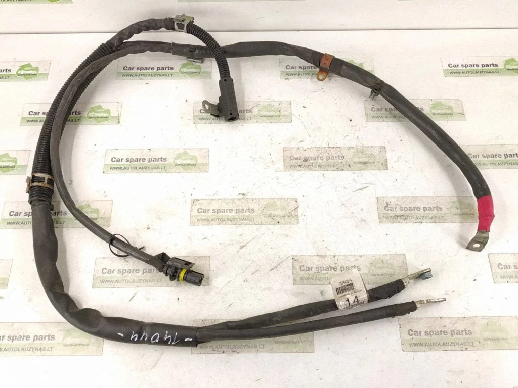 Other wiring loom