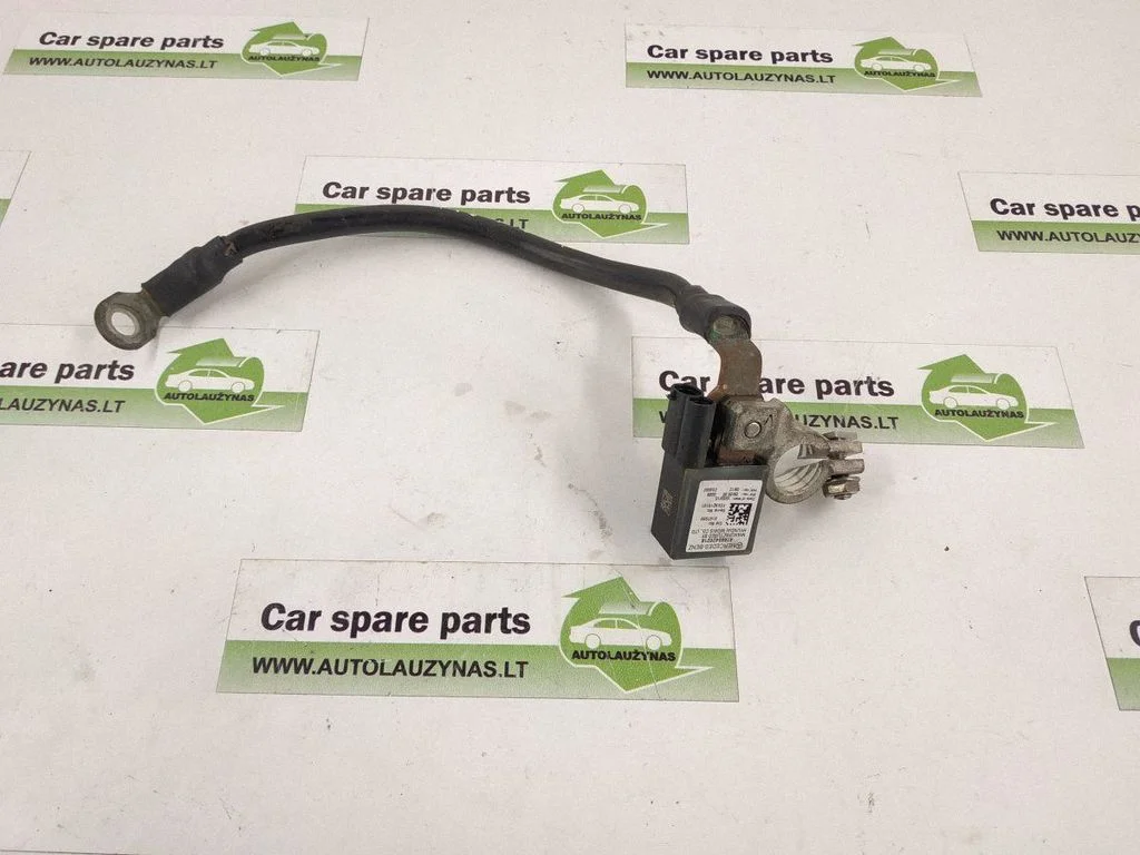 Other wiring loom