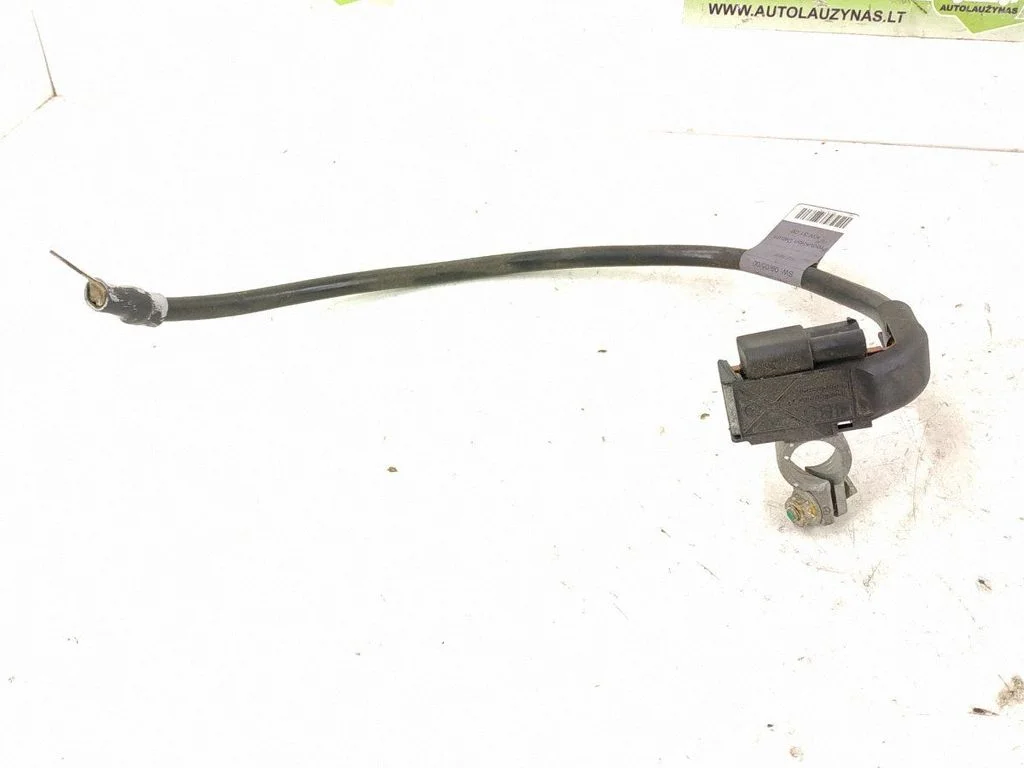 Other wiring loom