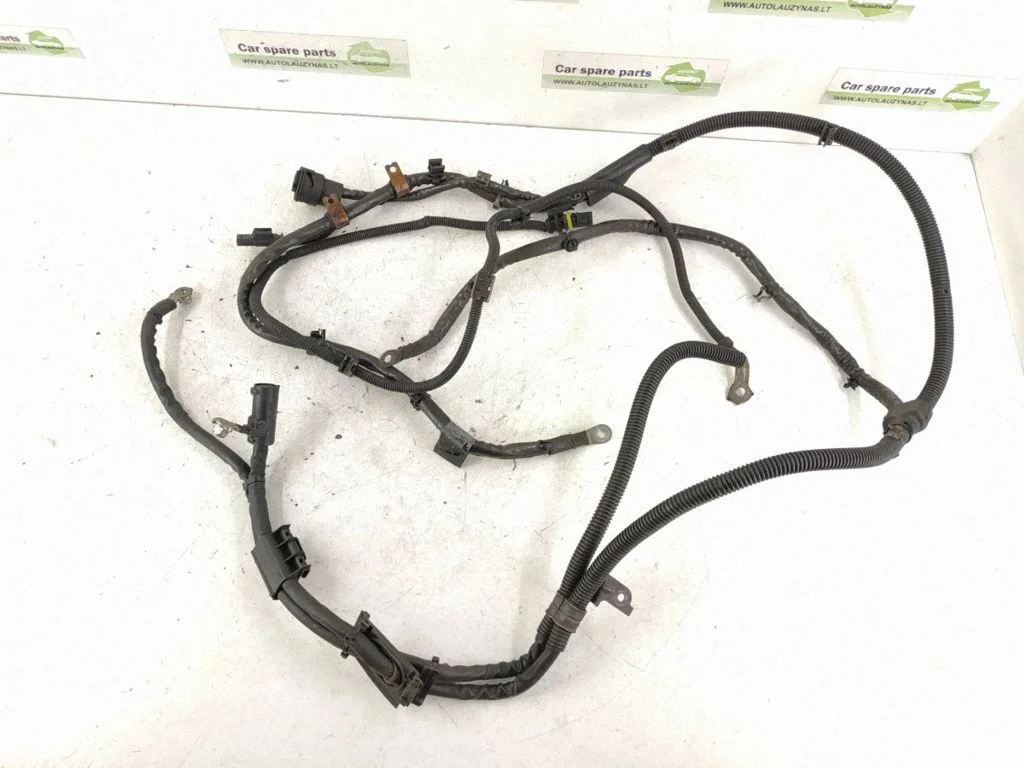 Other wiring loom