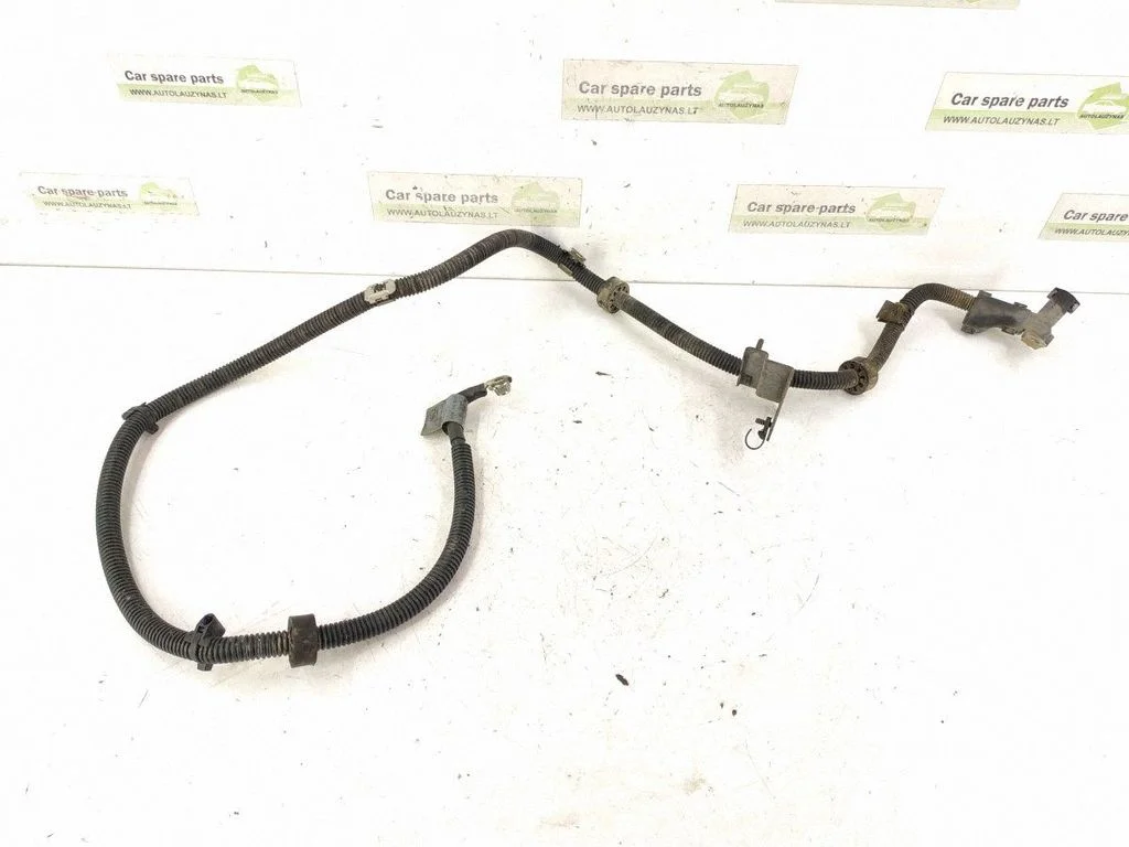 Other wiring loom