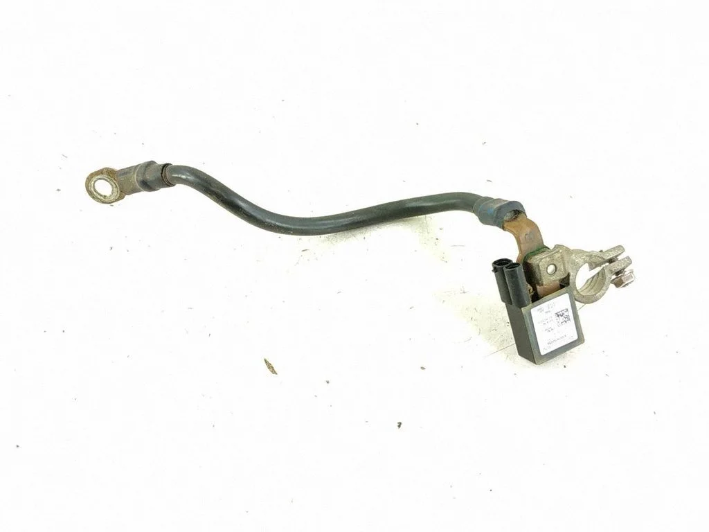Other wiring loom