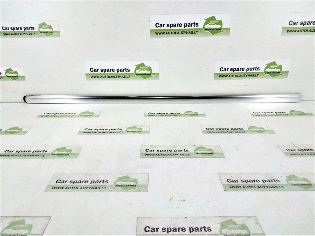 Rear door glass trim molding DALISID2052