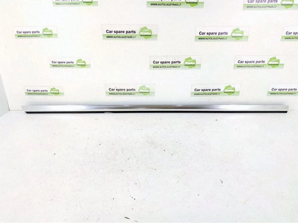 Rear door glass trim molding DALISID729