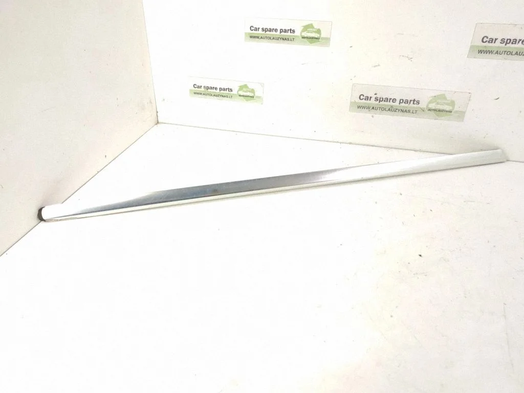 Rear door glass trim molding – left