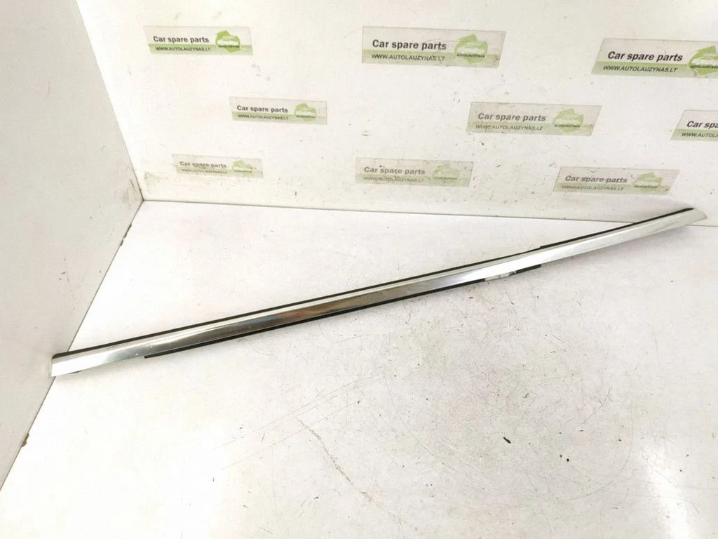 Rear door glass trim molding 2187300324