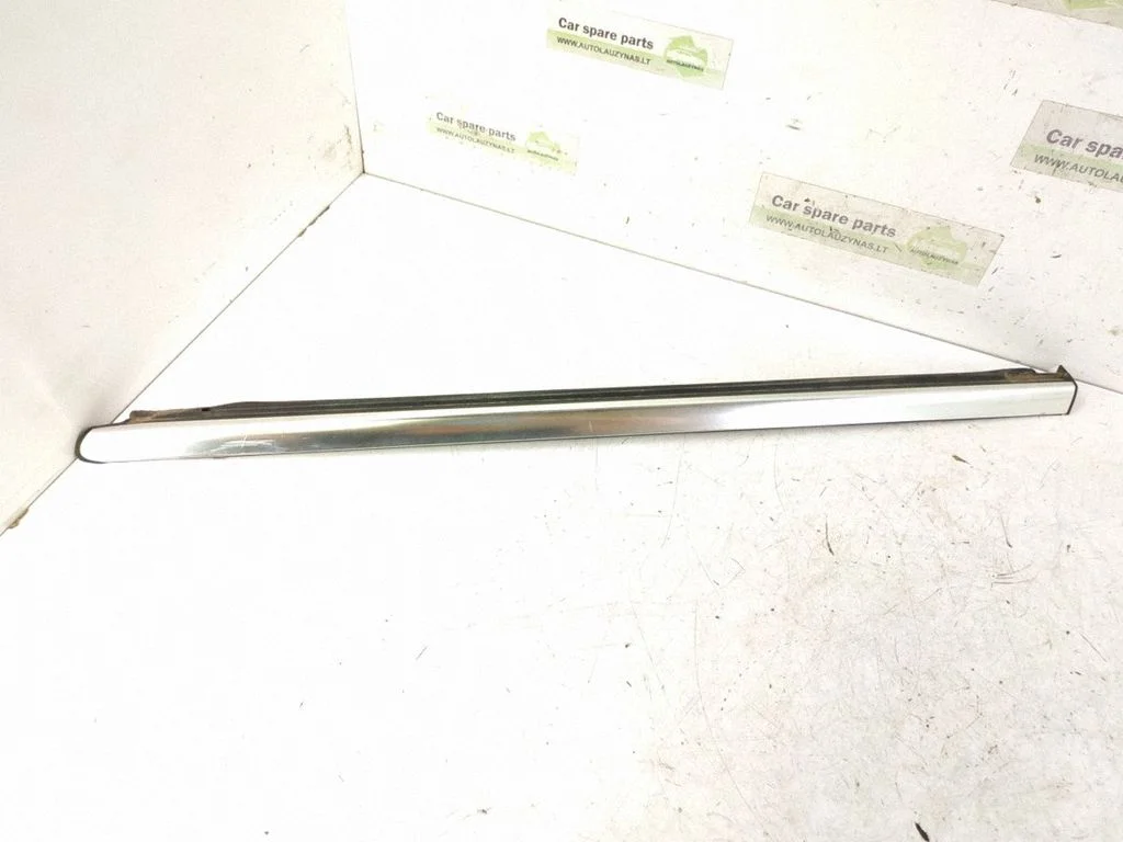 Rear door glass trim molding 2516907880