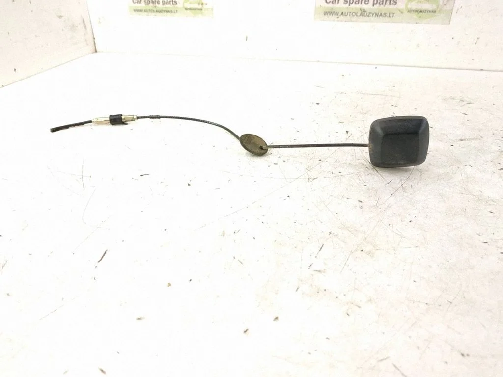 Radio antena