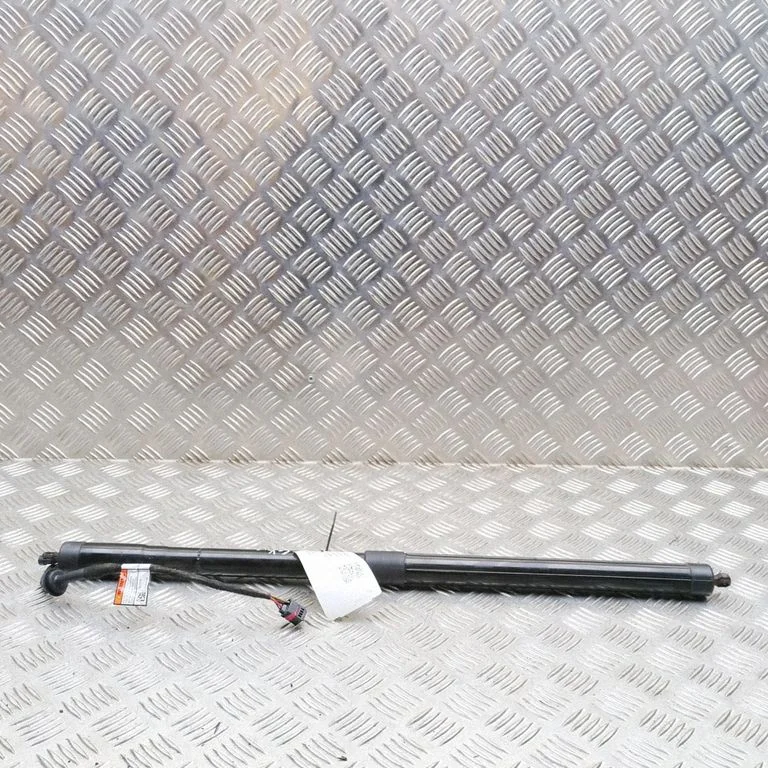 Tailgate/trunk strut/damper CPLA70354BC