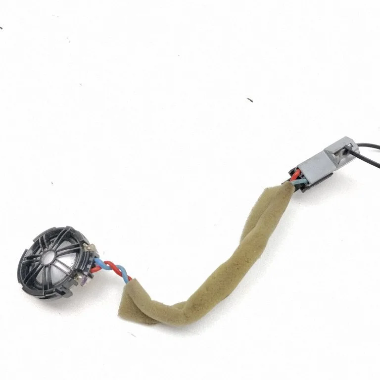 Głośnik w drzwiach przednich BJ3218808AC