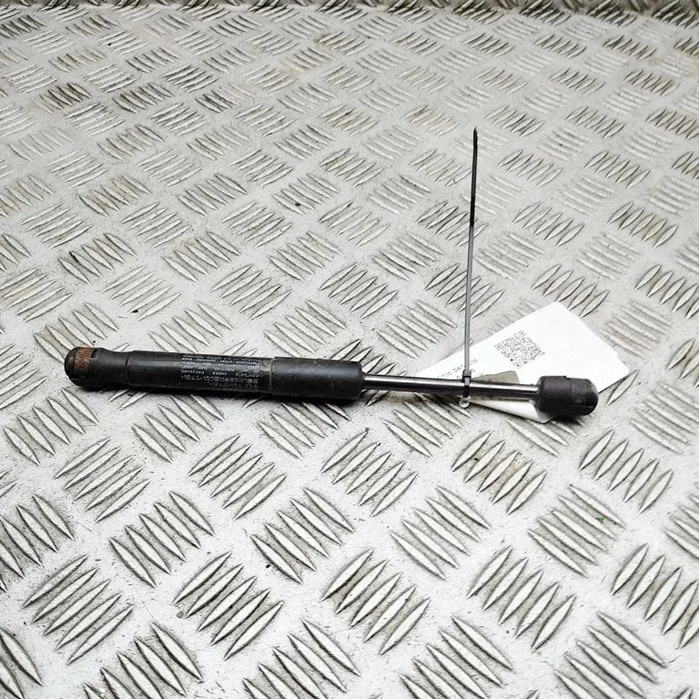 Tagaluugi gaasiamortisaator 2887160380N