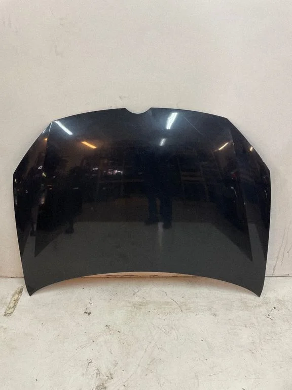 Engine bonnet/hood AC00D381G8H0R