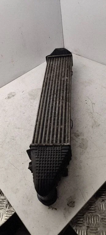 Starpdzesētāja (interkūlera) radiators A2045000300