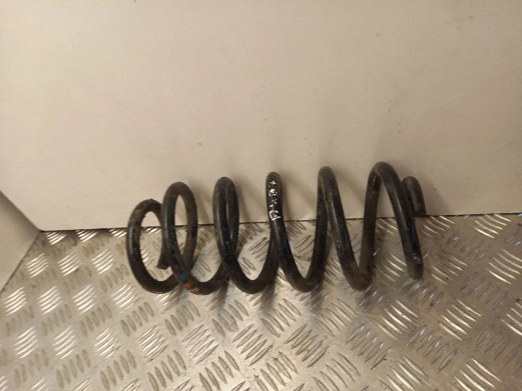 Front coil spring