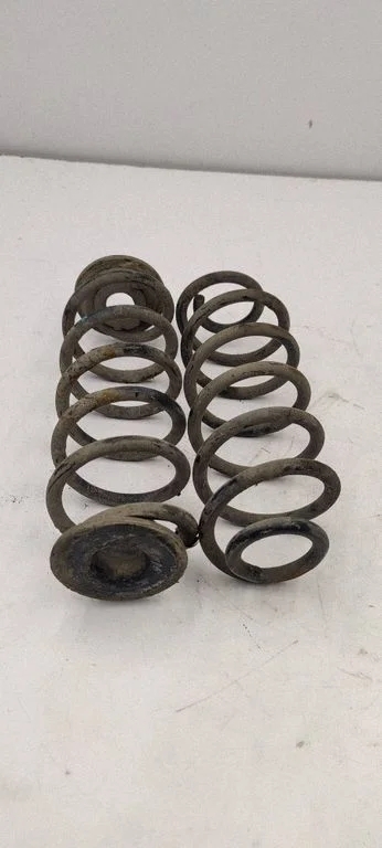 Rear coil spring