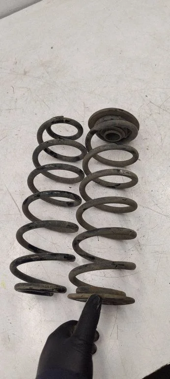 Rear coil spring