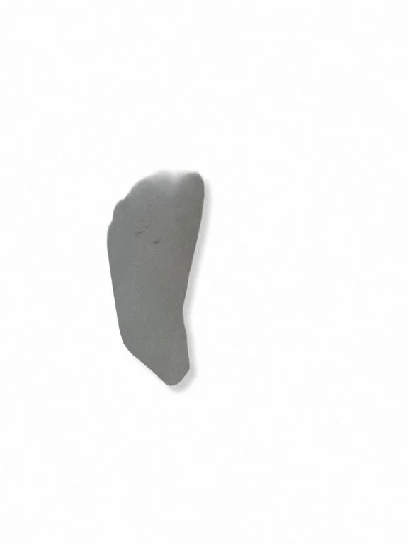 Engine bonnet/hood