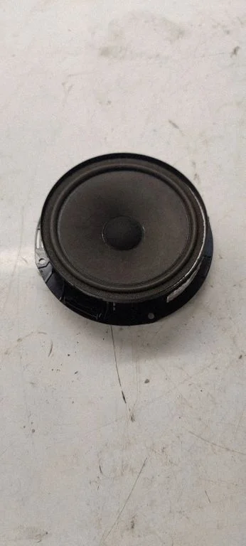 Głośnik w drzwiach tylnych – Volkswagen Passat CC (2008-2016)
