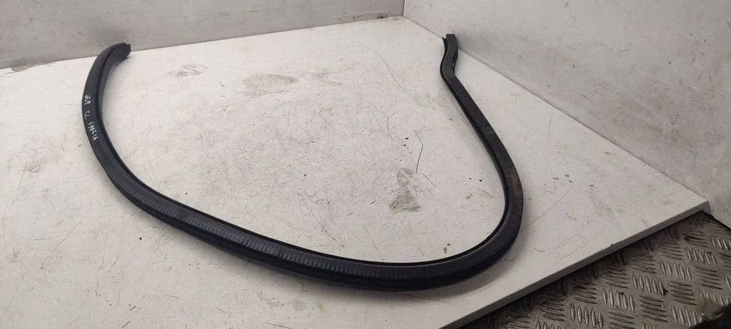 Rubber seal rear door – Volkswagen Passat CC (2008-2016)