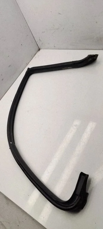 Rubber seal rear door – Volkswagen Passat CC (2008-2016)