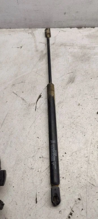 Tailgate strut 24568
