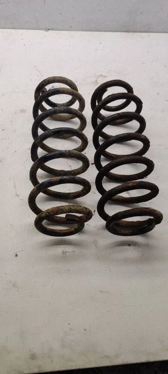 Rear coil spring
