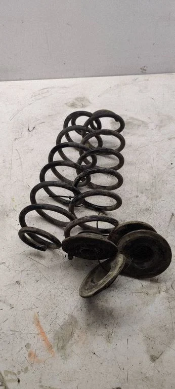 Rear coil spring