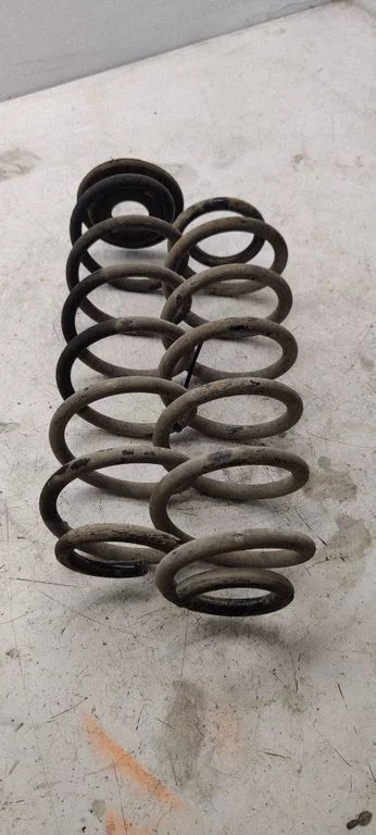 Rear coil spring