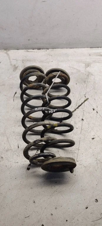 Rear coil spring