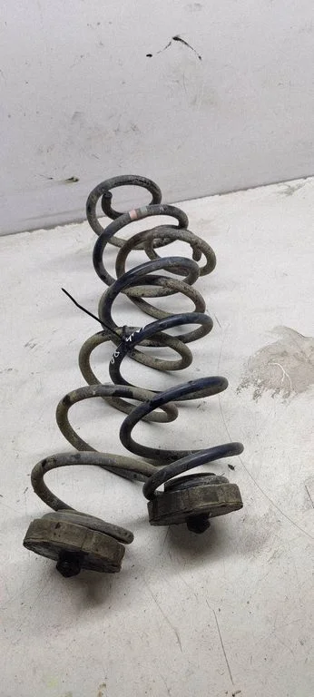 Rear coil spring