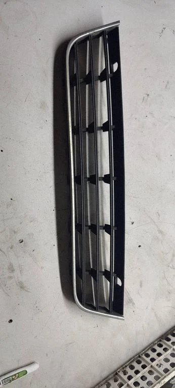 Front bumper lower grill 3c0853101c