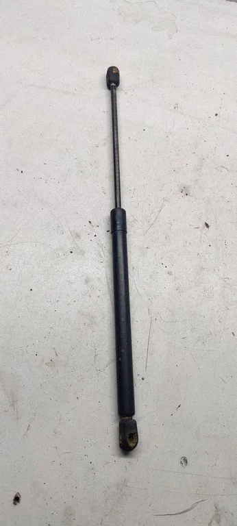 Tailgate/trunk strut/damper