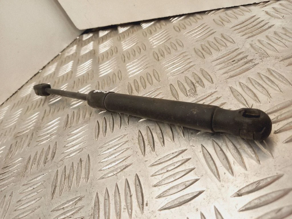 Tailgate/trunk strut/damper