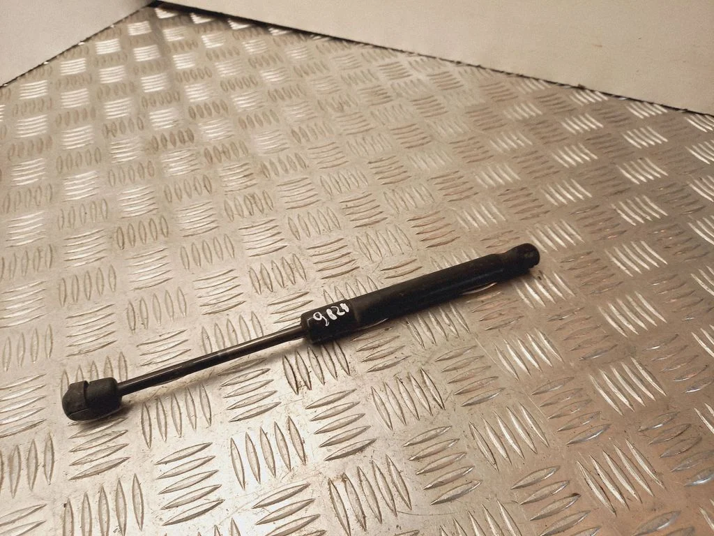 Tailgate/trunk strut/damper